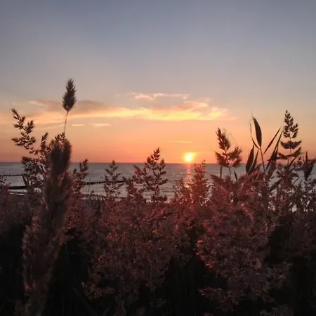 Residenz Seestern Apartmán